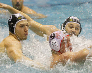 radnicki2013