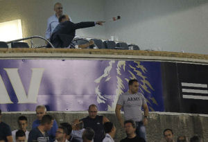 grubor2013
