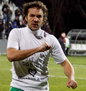 stojkovic2013