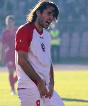 babovic2014